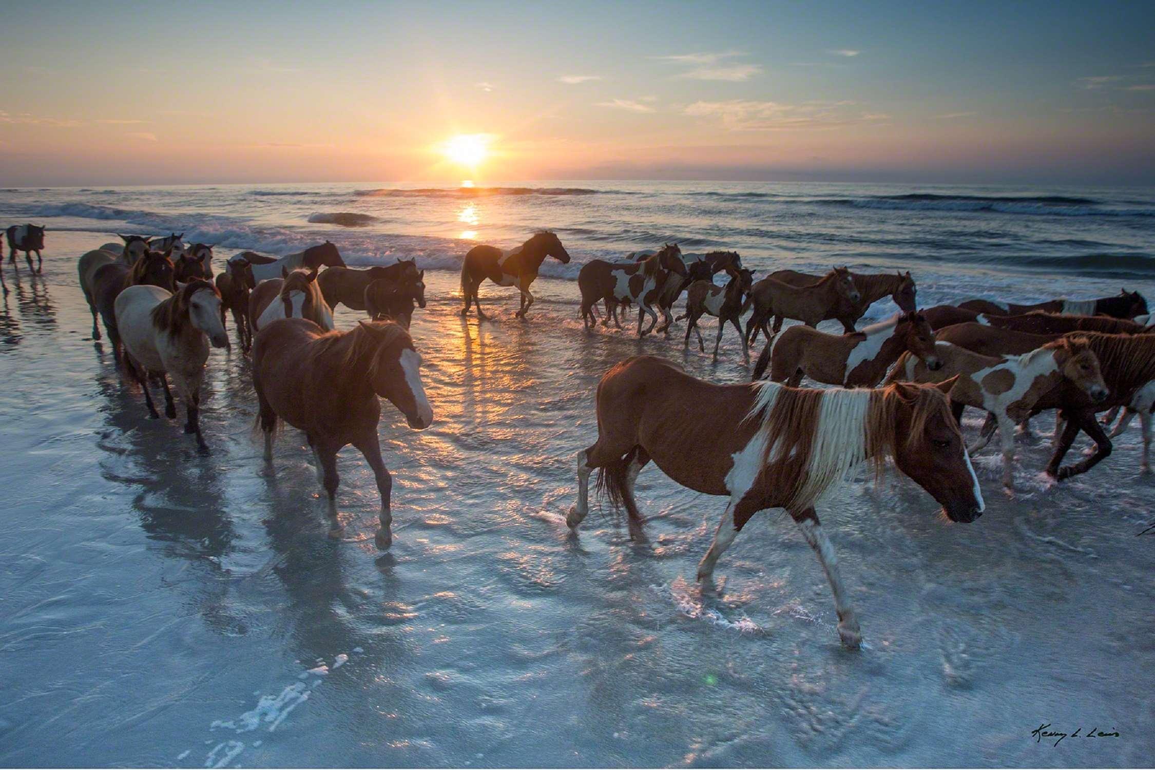Hampton Inn & Suites Chincoteague-Waterfront, Va Экстерьер фото