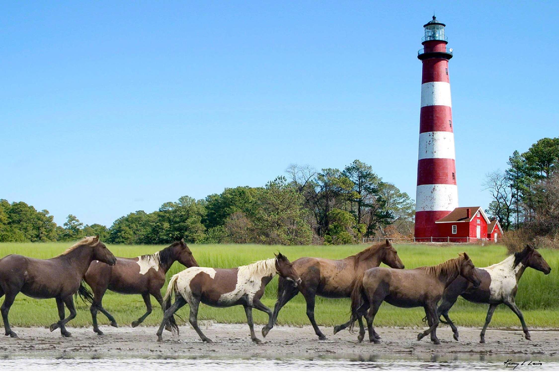 Hampton Inn & Suites Chincoteague-Waterfront, Va Экстерьер фото